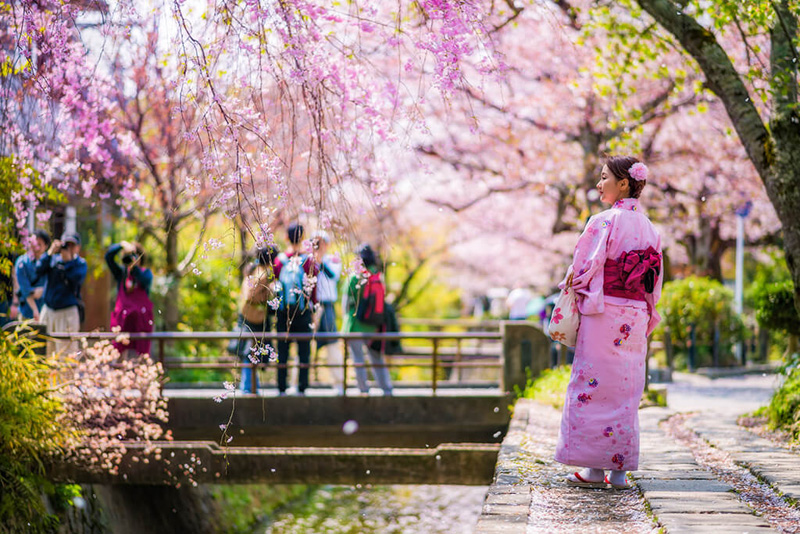 Ngắm hoa anh đào Con đường Triết gia (Tetsugaki-no-Michi)